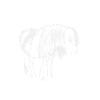 Islandpferd