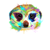 Meerkat Portrait