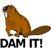 Funny beaver