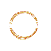 Hunt