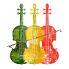 cello
