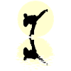 Taekwondo Moon