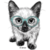 P.D. Moreno Neugierige Katze