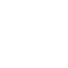 Le réalisateur du cinéma dit