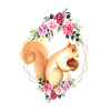 squirrel