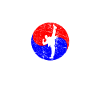 taekwondo