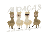 alpaca