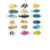 Tropical Fish Ocean Animal