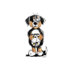 Berner Sennenhund Mama