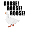 Goose goose goose