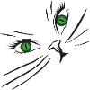 Cat Face Cat Face