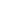 Developer computer scientist