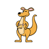 kangaroo