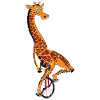 Unicycle, unicycle giraffe