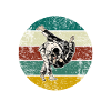 judo