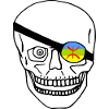 Amazigh flag skull