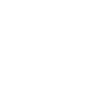 Dragon ornaments