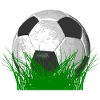 Ballon de soccer dans l'herbe