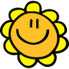 sun flower smile
