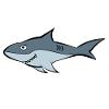 shark