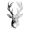 Petit cerf designer