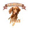 Vizsla Hund Hunderasse Geschenk