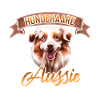 Australian Shepherd Aussie Hund