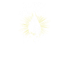 Vasectomie Stérilisation Cadeaux T-shirt