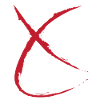 X network
