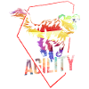 Dog agility gift
