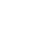 automobile