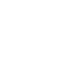 automobile
