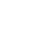 automobile