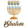 Shalom | Happy Hanukkah
