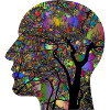 Brain, thinking, feeling, psychology
