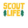 scout