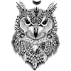 owl