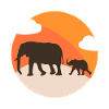 Silhouette Éléphants au Sunset Orange