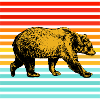 Braunbär Grizzly