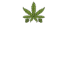 Stoner girl