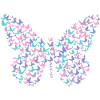 Papillons en papillon