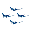 4 manta rays