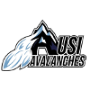 USI Avalanches white
