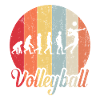 évolution volley-ball