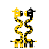 Winding giraffes