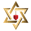 Davidstern Jüdischer Dreidel