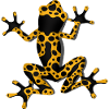 frog