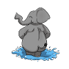 Elephant water elephant