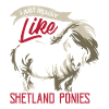 Shetland pony