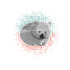 Australia wombat